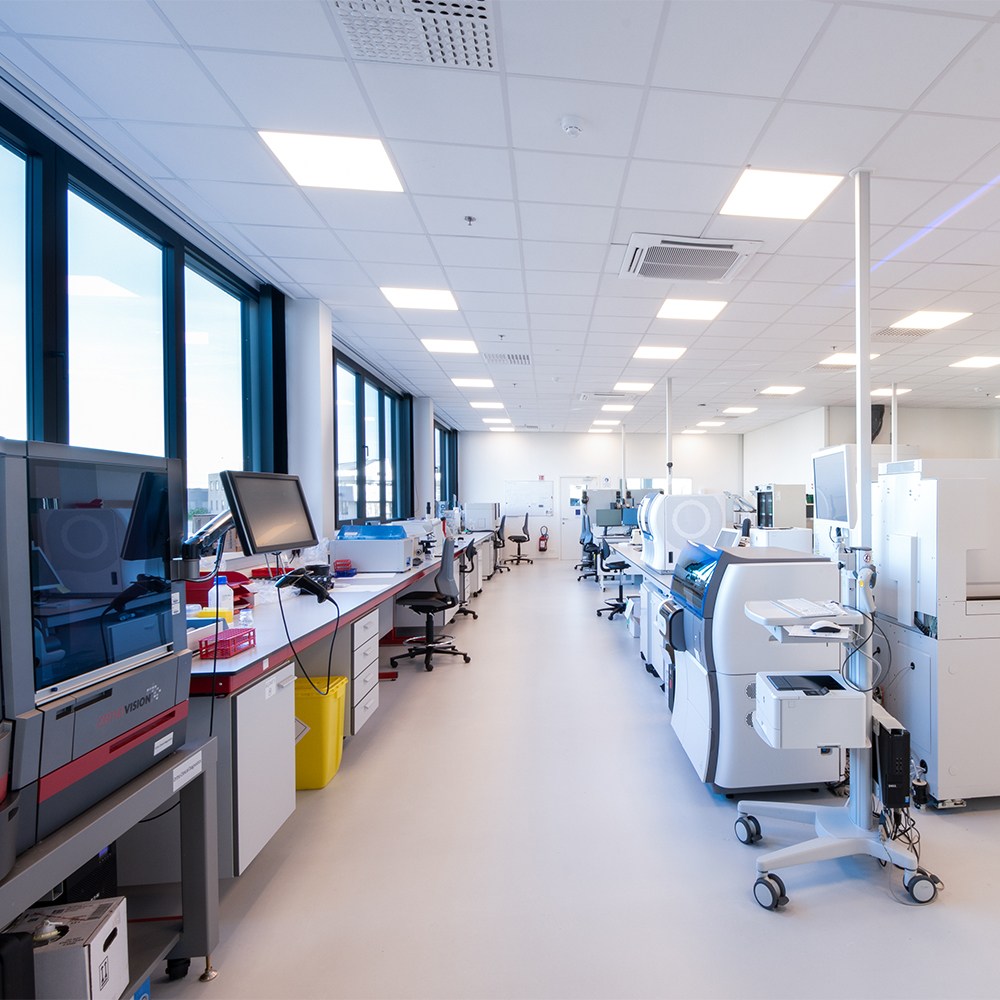 Belgium Lab