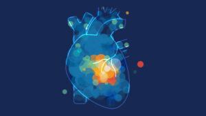 Heart image