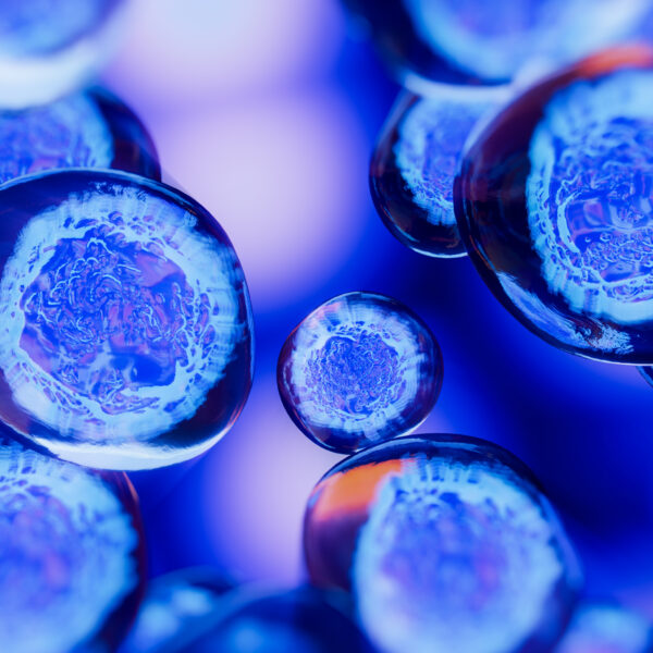 Cellular therapy rendering