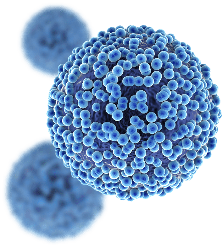 Cell rendering